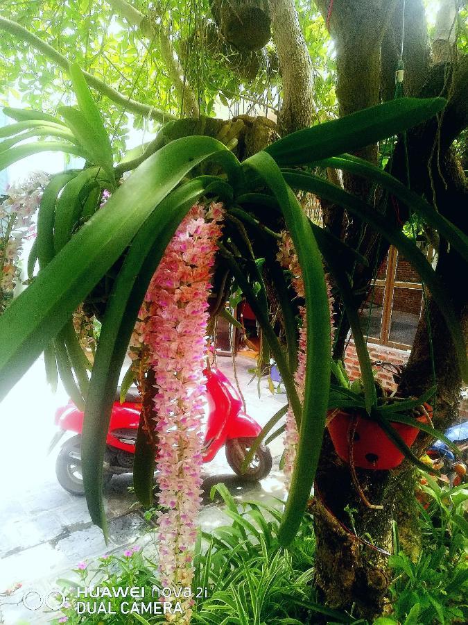 Tamcoc Mr. Cau Homestay 닌빈 외부 사진
